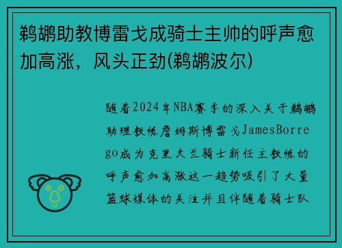 鹈鹕助教博雷戈成骑士主帅的呼声愈加高涨，风头正劲(鹈鹕波尔)