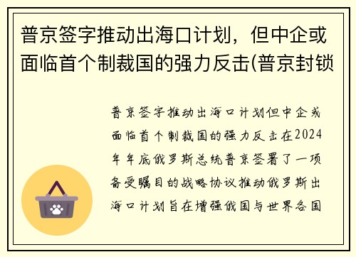 普京签字推动出海口计划，但中企或面临首个制裁国的强力反击(普京封锁海峡)